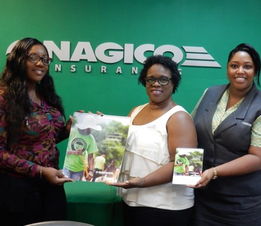 Nagico releases 2017 calendar focused on community service