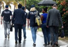 New search in Emerald-investigation