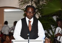 New academic publication by USM’s Wolthuis and Guadeloupe