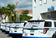 Another police car taken on joyride by detainee in handcuffs