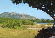 Newborn abandoned: Mother released in Guadeloupe