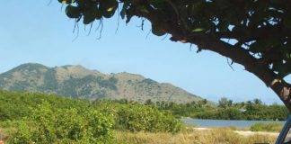 Newborn abandoned: Mother released in Guadeloupe