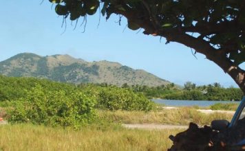 Newborn abandoned: Mother released in Guadeloupe