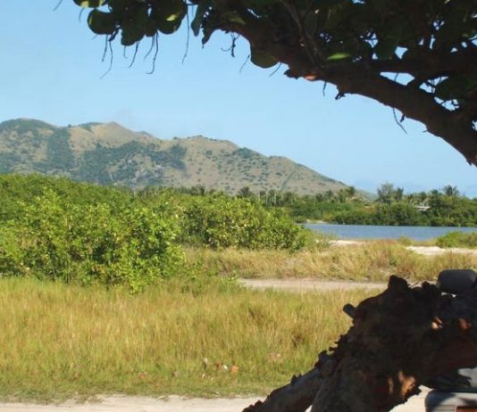 Newborn abandoned: Mother released in Guadeloupe