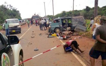 Two die in mini bus crash