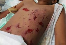 *** WARNING *** Claude Peterson: EXTREMELY DANGEROUS ILLEGAL FIREWORKS!!!