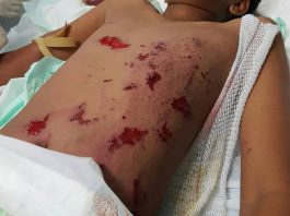 *** WARNING *** Claude Peterson: EXTREMELY DANGEROUS ILLEGAL FIREWORKS!!!