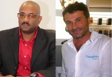 CEO of Dauphin Telecom Haillant clarifies press statement by TelEm CTO