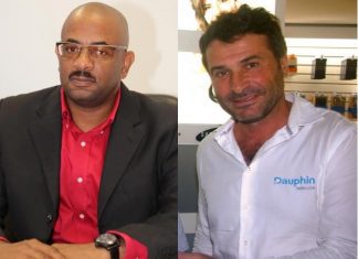 CEO of Dauphin Telecom Haillant clarifies press statement by TelEm CTO