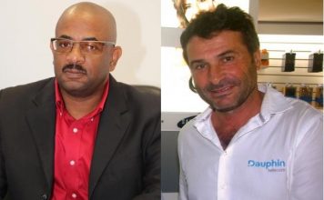 CEO of Dauphin Telecom Haillant clarifies press statement by TelEm CTO