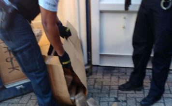 Aduanas confisca 360 kilos de “hiervas”