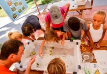 Migratory birds, and protective treaties celebrated on 20 Caribbean islands