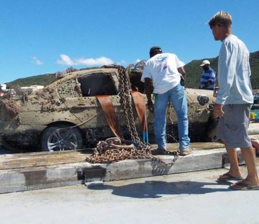 Forensic results of body found in Great bay