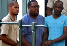 Búsquedas en conexión con la investigación “Cucumber”