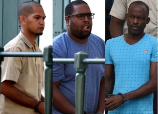 Búsquedas en conexión con la investigación “Cucumber”