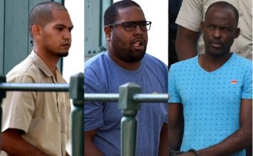 Búsquedas en conexión con la investigación “Cucumber”