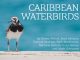 Free Ebook Shares Stories of Caribbean Waterbirds
