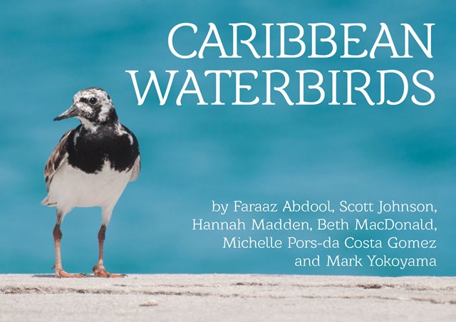 CaribbeanWaterbirds