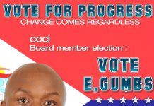 Elect me as your representative on Chamber of Commerce board