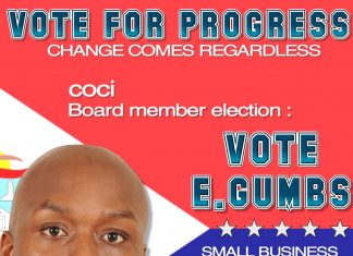 Elect me as your representative on Chamber of Commerce board