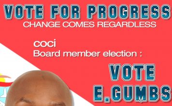 Elect me as your representative on Chamber of Commerce board