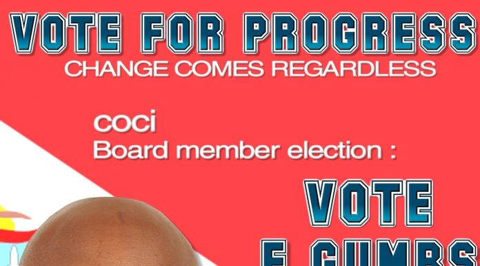 Elect me as your representative on Chamber of Commerce board