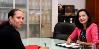 TelEm Group announces $3.3m backup for SMPR-1 undersea cable