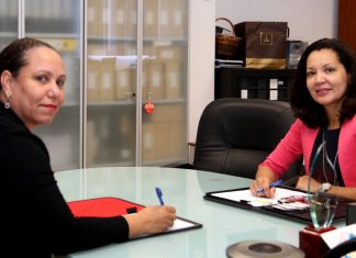 TelEm Group announces $3.3m backup for SMPR-1 undersea cable