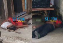 Five die in ‘Bloody Sunday’ in St. Lucia