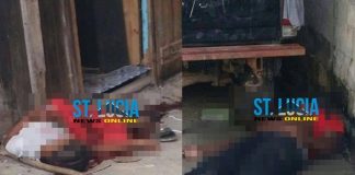 Five die in ‘Bloody Sunday’ in St. Lucia