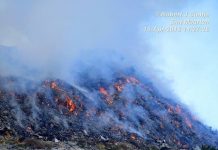 Nature Foundation investigates worrying situation at Great Salt Pond