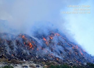 Nature Foundation investigates worrying situation at Great Salt Pond