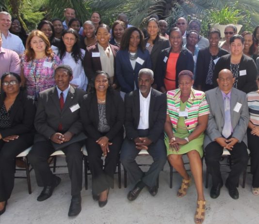 Steering Committee and Key Stakeholders have final reflection on the European Union’s funded COSME Programme