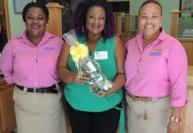 Sheriff Security Anguilla introduces VIP Transport