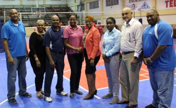Volleyball Assoc. donates new court to Sports Auditorium