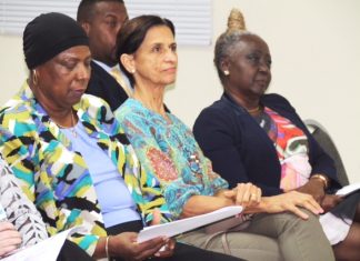 “St. Maarten and the EU after 2020.”