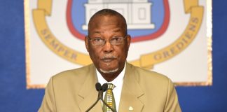 Application period for Carnival vending now open