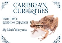 Amuseum Naturalis celebrates 5,000 visitors with free e-book