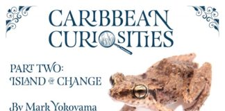 Amuseum Naturalis celebrates 5,000 visitors with free e-book