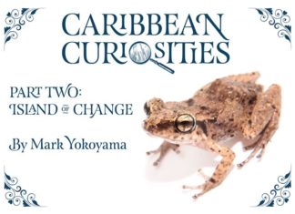 Amuseum Naturalis celebrates 5,000 visitors with free e-book