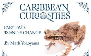 Amuseum Naturalis celebrates 5,000 visitors with free e-book