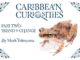 Amuseum Naturalis celebrates 5,000 visitors with free e-book