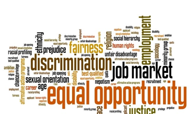 106th International Labour Conference calls for greening of the world of work