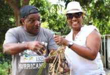 Minister Jacobs attends Arrowroot Jollification festival in Colombier