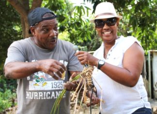 Minister Jacobs attends Arrowroot Jollification festival in Colombier