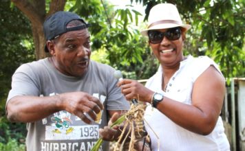 Minister Jacobs attends Arrowroot Jollification festival in Colombier
