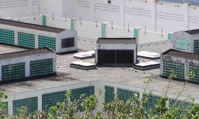 Four prisoners transferred to Netherlands for safety reasons