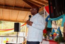 Arubians are our extended family