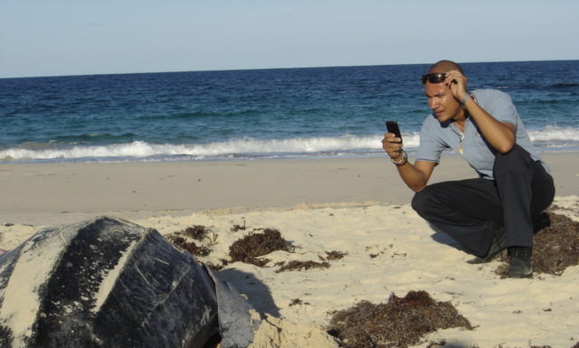 Connect with Nature every day. Benefits physical and mental health