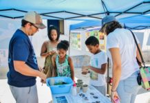Hundreds enjoy local wildlife at Animal Festival